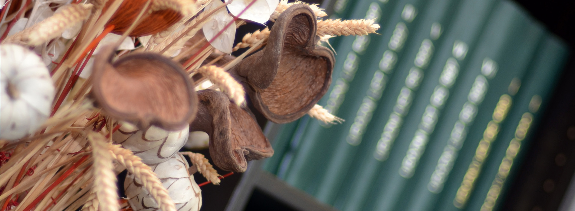 Detajl iz odvetniške pisarne